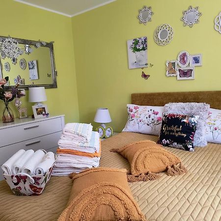 Sweet Butterflies Residence Brasov Luaran gambar