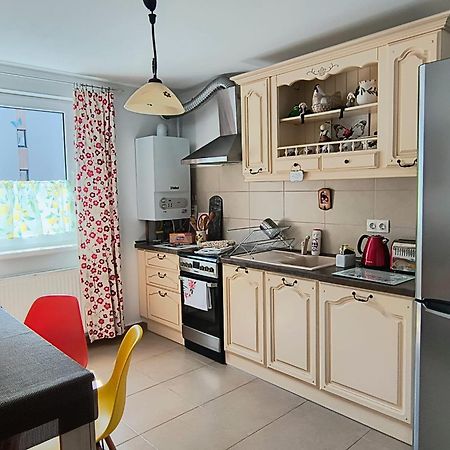 Sweet Butterflies Residence Brasov Luaran gambar