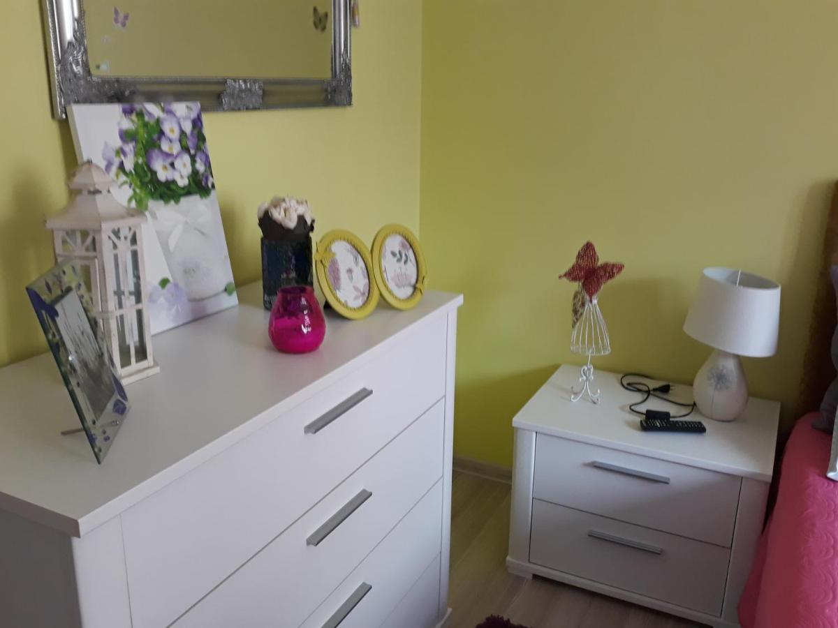 Sweet Butterflies Residence Brasov Luaran gambar