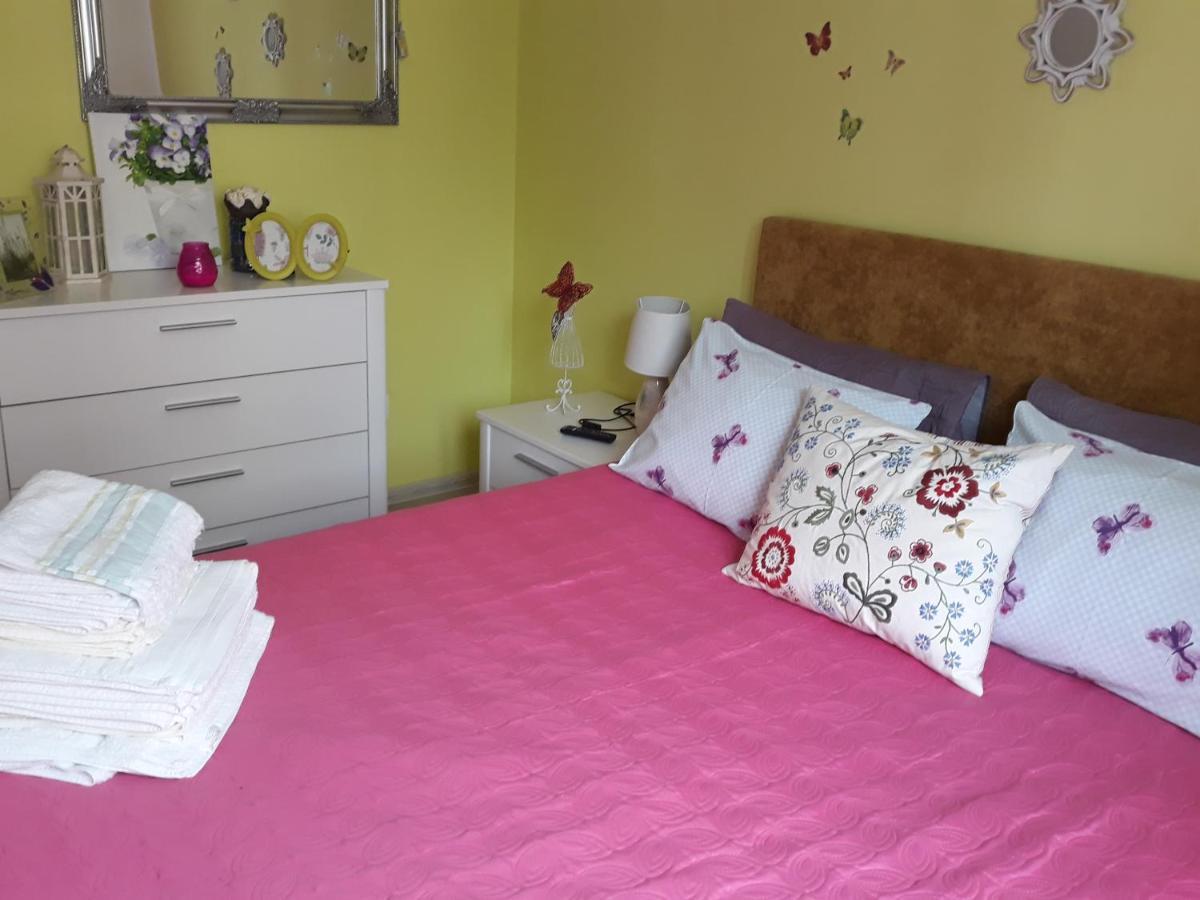 Sweet Butterflies Residence Brasov Luaran gambar