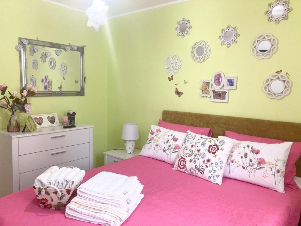 Sweet Butterflies Residence Brasov Luaran gambar