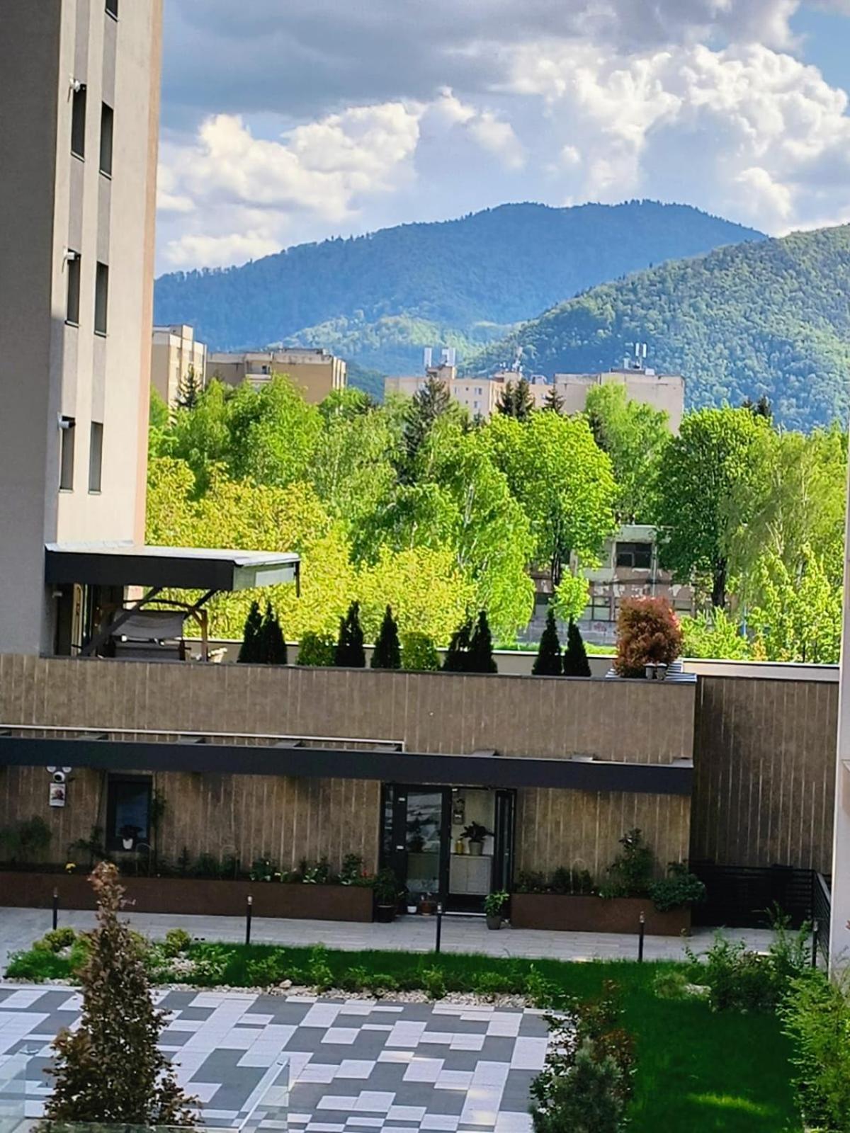 Sweet Butterflies Residence Brasov Luaran gambar