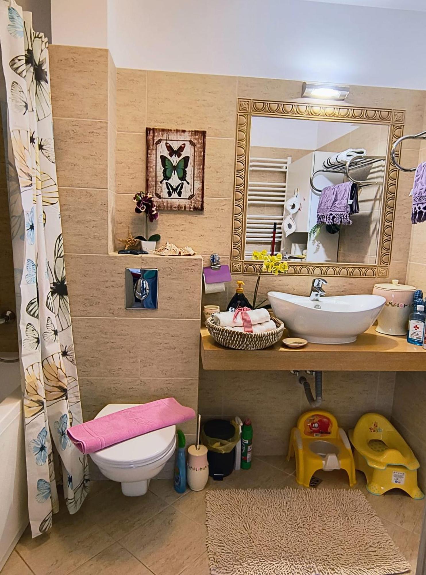Sweet Butterflies Residence Brasov Luaran gambar