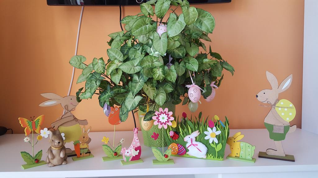 Sweet Butterflies Residence Brasov Luaran gambar