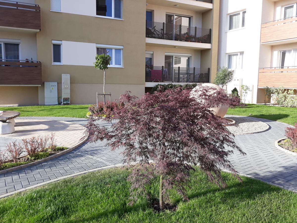 Sweet Butterflies Residence Brasov Luaran gambar