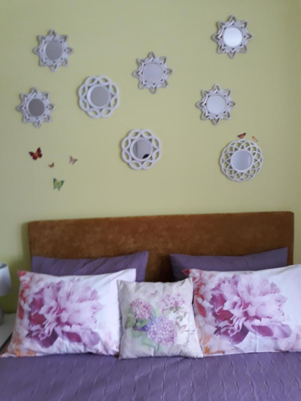 Sweet Butterflies Residence Brasov Luaran gambar